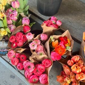 Meet your Posher, Gabby